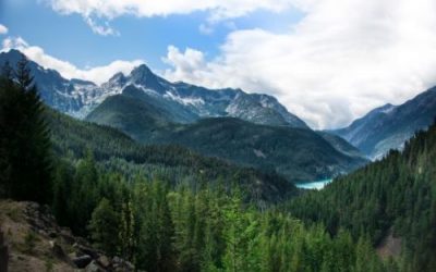 Week 9 Legislative Update: Back to Public Hearings and Committee Consideration