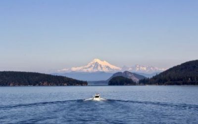Week 3 Legislative Update: Unemployment Relief Passes