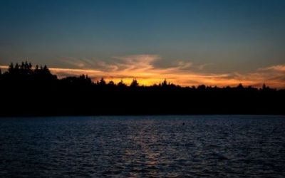 Holding Leaders Accountable for Recovery