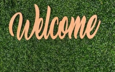 Meet our new members: January 2020