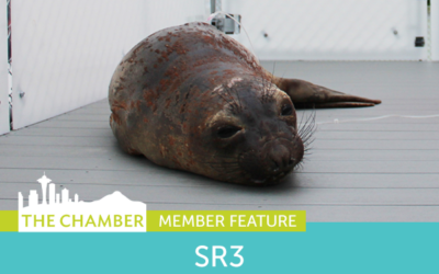 Member Feature: SR3 – SeaLife Response, Rehabilitation, and Research